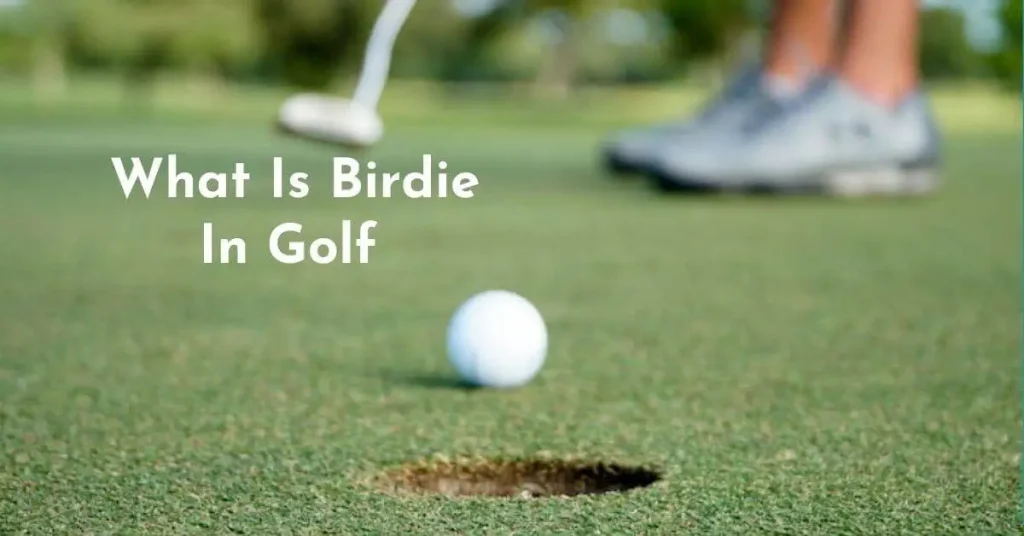 Birdie In Golf