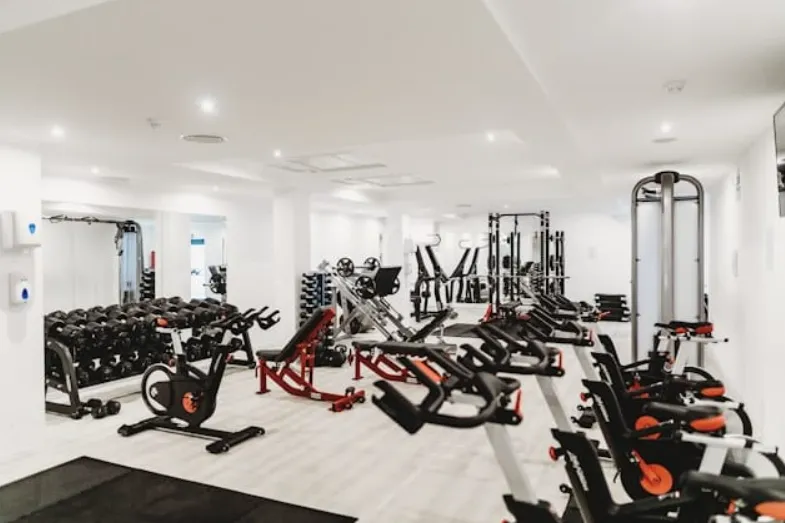 How Cardio Equipment Shapes Modern Gym Training Routines